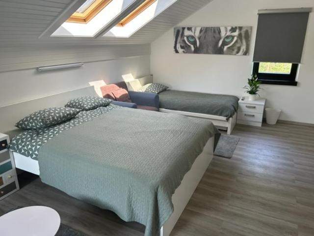 A&E Apartment Ljubljana Ngoại thất bức ảnh