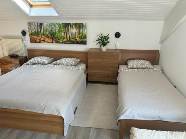 A&E Apartment Ljubljana Ngoại thất bức ảnh